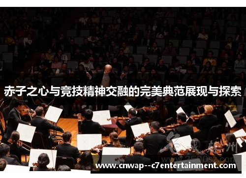 赤子之心与竞技精神交融的完美典范展现与探索