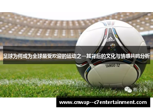 足球为何成为全球最受欢迎的运动之一其背后的文化与情感共鸣分析