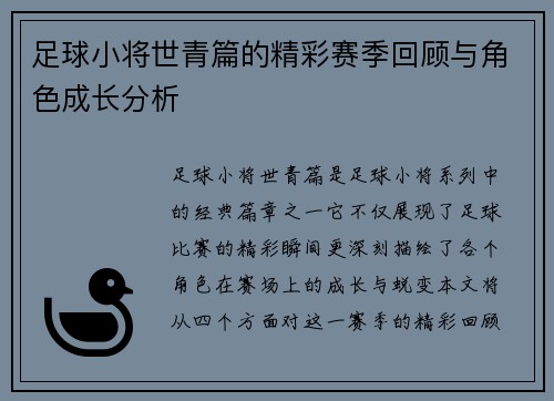 足球小将世青篇的精彩赛季回顾与角色成长分析
