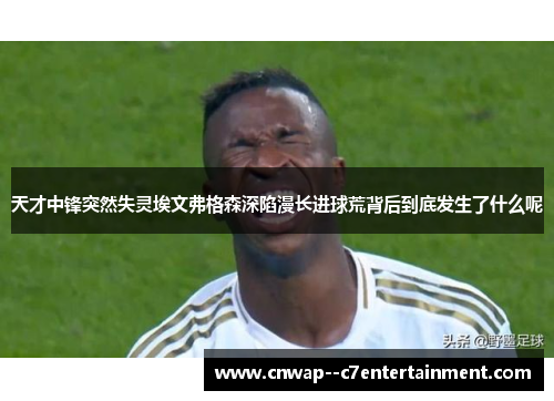 天才中锋突然失灵埃文弗格森深陷漫长进球荒背后到底发生了什么呢